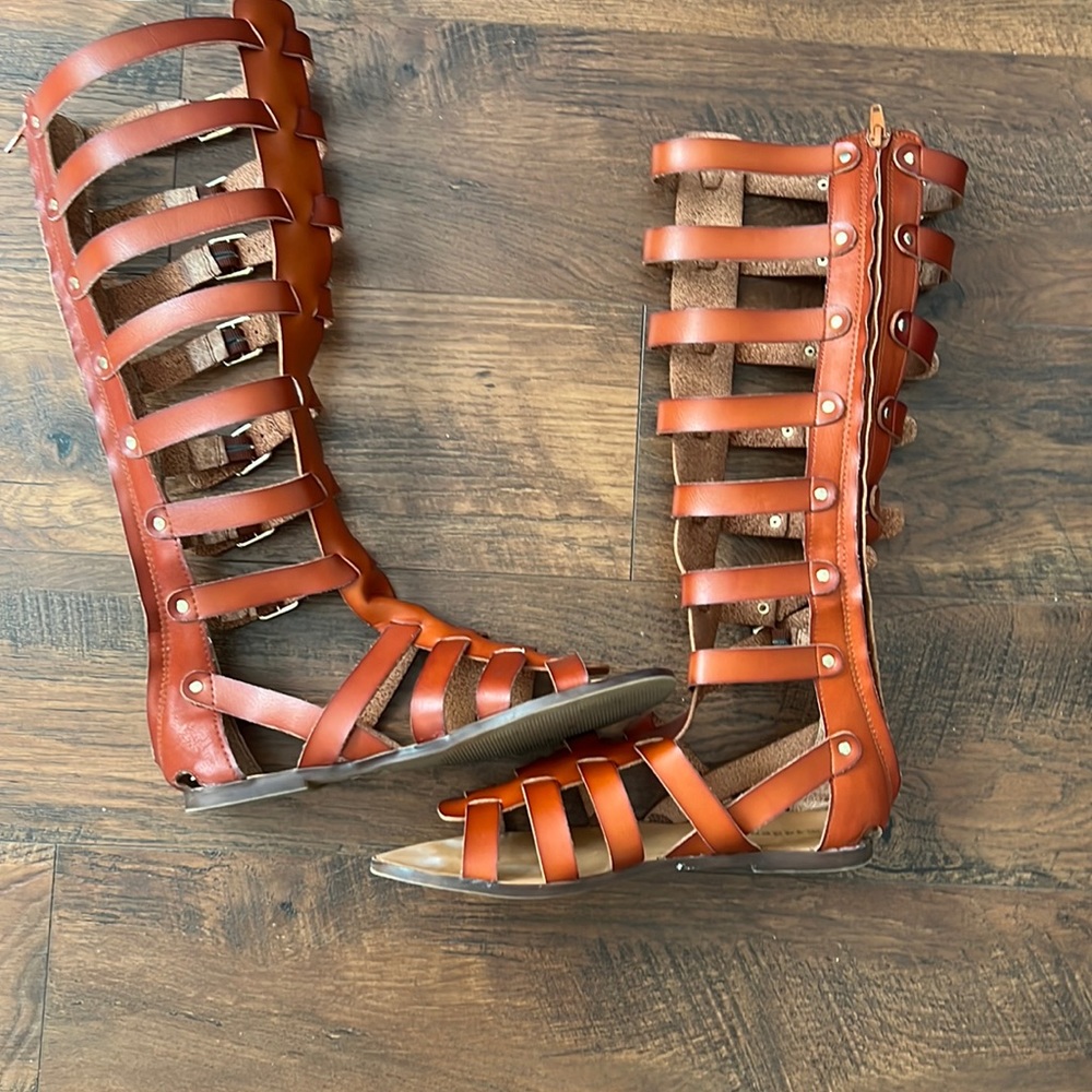 Gladiators